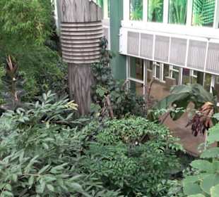 Regenwaldhaus