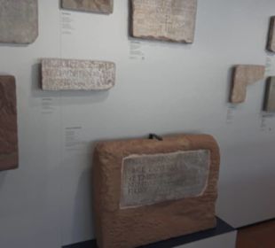 Rheinisches Landesmuseum