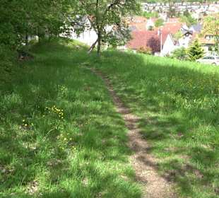 Wandertour durchs Reissenbachtal Oberhausen