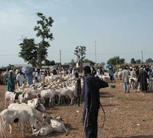 Viehmarkt am Samstag