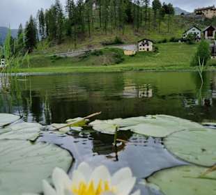 Blick auf Schloss Tarasp