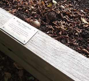 Kneippscher Kräutergarten