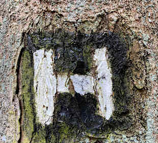 Wandern Buchholz in der Nordheide