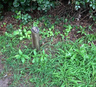 FriedWald Schönbuch