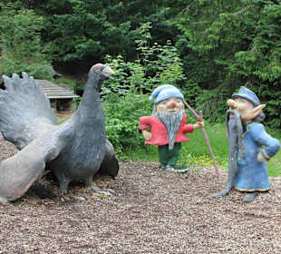 Лесной маршрут: найди тетерева