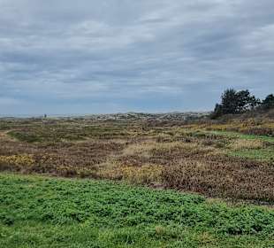 Kampen Richtung Nordsee