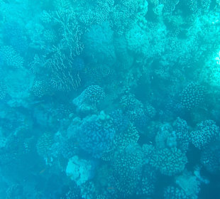 LABRANDA Royal Makadi