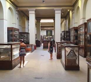 Pyramiden und Ausgrabungsfund