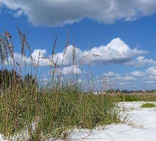 Spaziergang am Strand