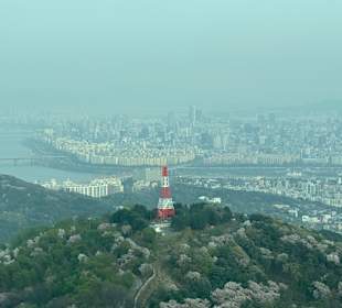 Seoul Tower