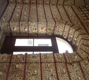 Jardim do Largo do Carmo