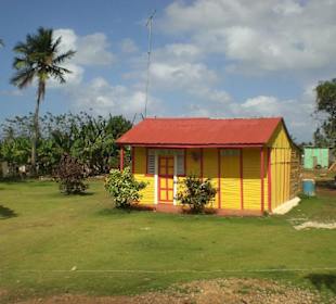 Truck Safarie mit RH.