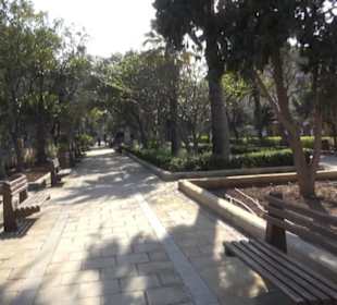 The Mall Gardens