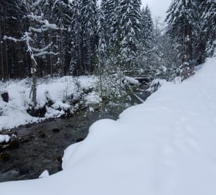 Tannheimer Tal