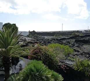 Fundacion Cesar Manrique