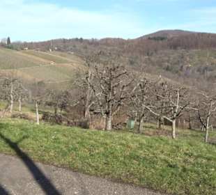 Wanderung Florianrunde