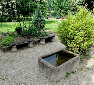 Impressionen aus dem Interkulturellen Garten
