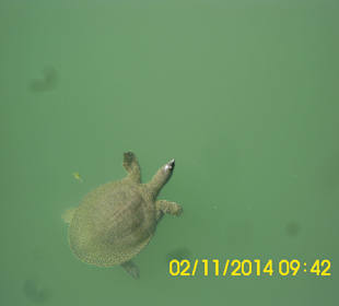 Von der kleinen Brücke an der Promenade