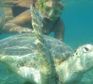 Schnorcheln mit Schildi