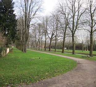 Schlosspark Schwetzingen im Winter