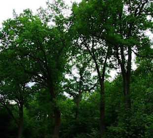 Der Stausee und seine Umgebung