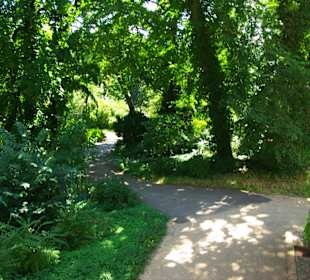 Runter zum unteren Weg