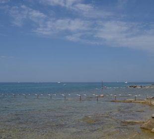 Wege ins Meer