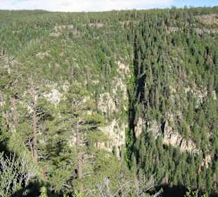 Oak Creek Canyon