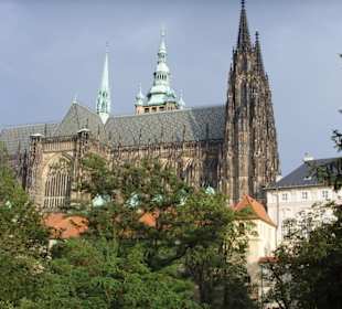 Katedra