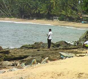 Frisch geangelter Fisch