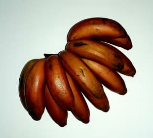 Rote Bananen