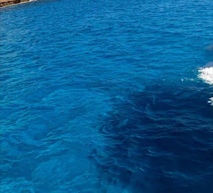 Strand Ayia Napa/Agia Napa