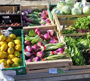 Impressionen vom Wochenmarkt Saint-Cyprien-Plage