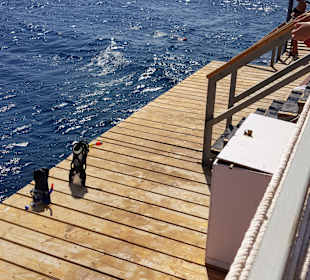 Schnorcheln Marsa Alam