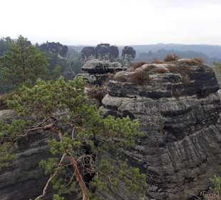 Bastei in Lohmen