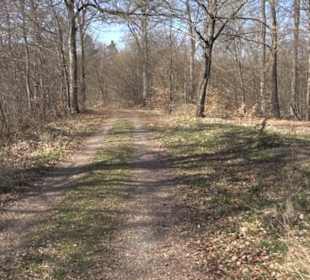 Geologischer Lehrpfad Kirnbachtal