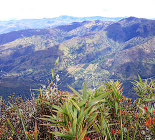 Podocarpus Nationalpark