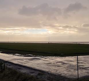 Hafen Wurster Nordseeküste