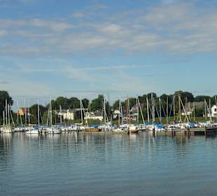 Schlei