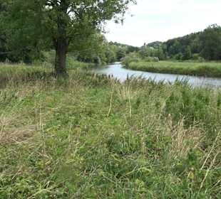 Naturschutzgebiet Braunsel