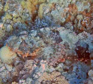 Hallo Rifftrampler, ich warte auf euch!