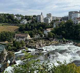 Rheinfall