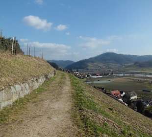 Oberkirch Weinwanderung Panorama