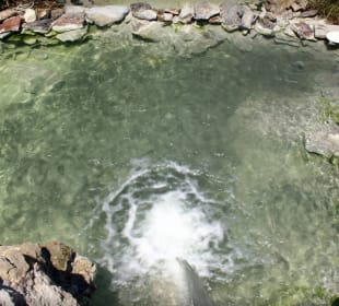 Inselrundfahrt Sizilien