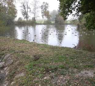 Erlebnisbauernhof und Wildgehege