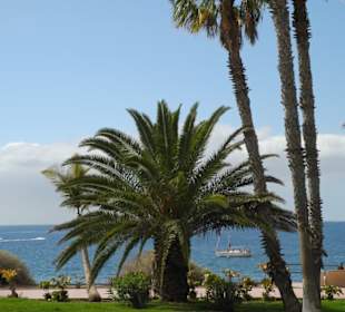 Aussicht aufs Meer mit Bänken
