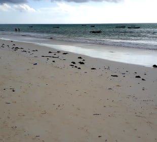 Strand Paje