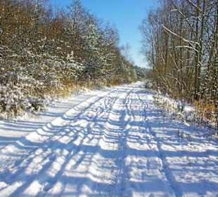 Im Winter