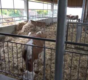 Erlebnisbauernhof und Wildgehege