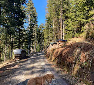 Rundwanderweg Baiersbronn